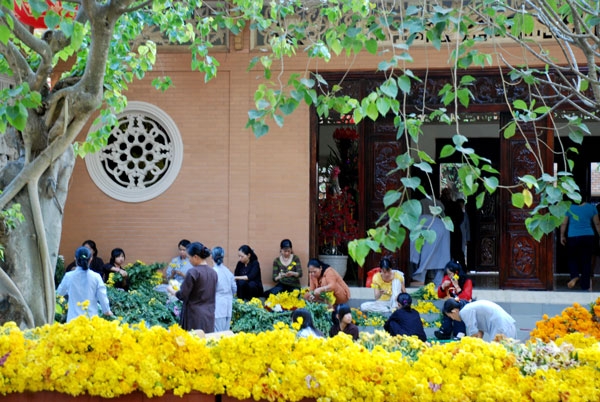 Chùa Hoằng Pháp đón xuân Canh Dần