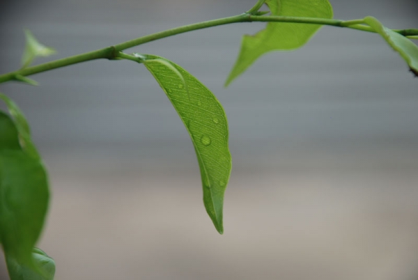 Cảm thức về một nơi bình yên