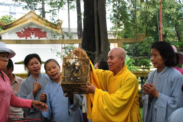 Chùa Hoằng Pháp tổ chức phóng sinh
