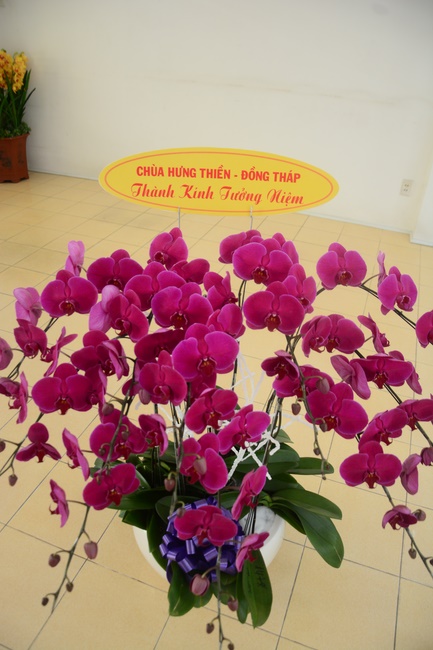 Lễ giỗ Tổ khai sáng chùa Hoằng Pháp