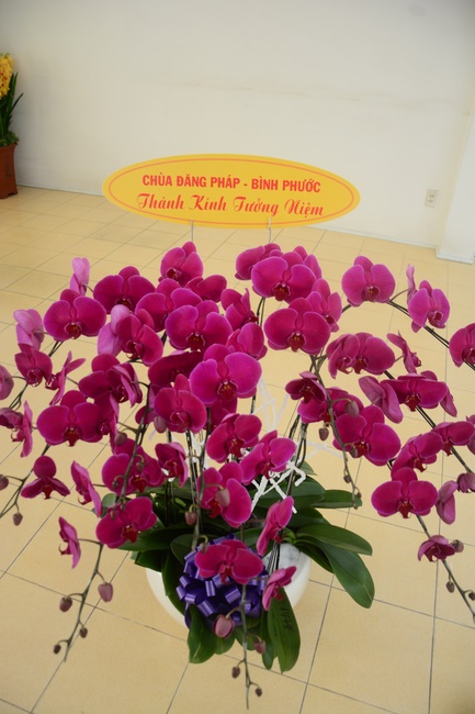 Lễ giỗ Tổ khai sáng chùa Hoằng Pháp