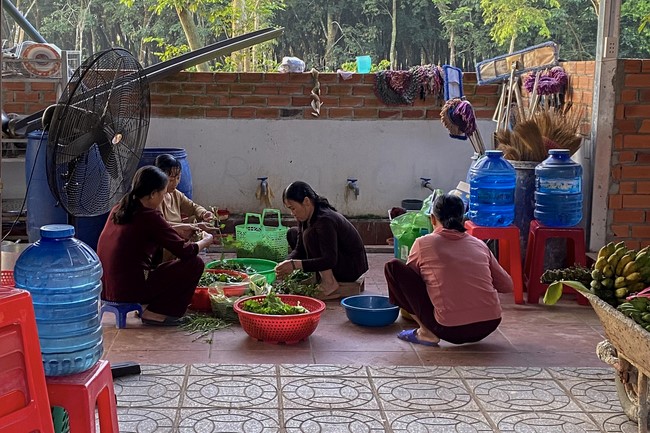 One-Day Peaceful Retreat at Suoi Phap Pagoda