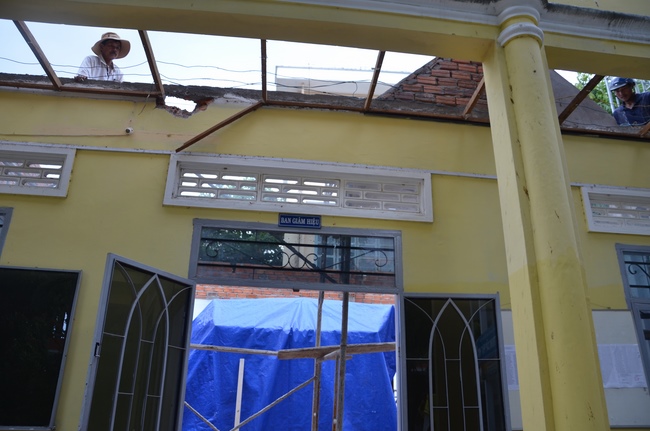 Quỹ Đào Tạo Tăng Tài Ngộ Chân Tử