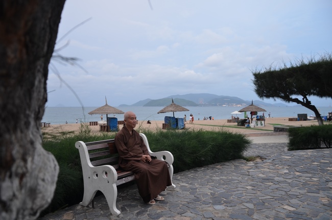 Quỹ Đào Tạo Tăng Tài Ngộ Chân Tử