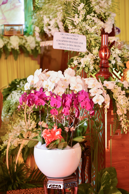 Lễ viếng cố Đại lão HT. Thích Minh Cảnh