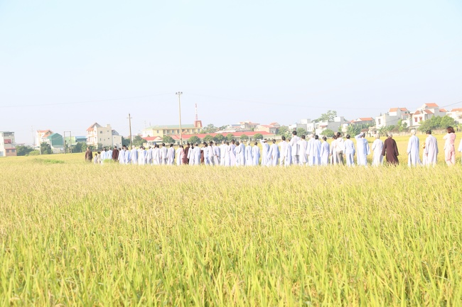 One - day Retreat of Dong Cao pagoda in Thanh Hoa