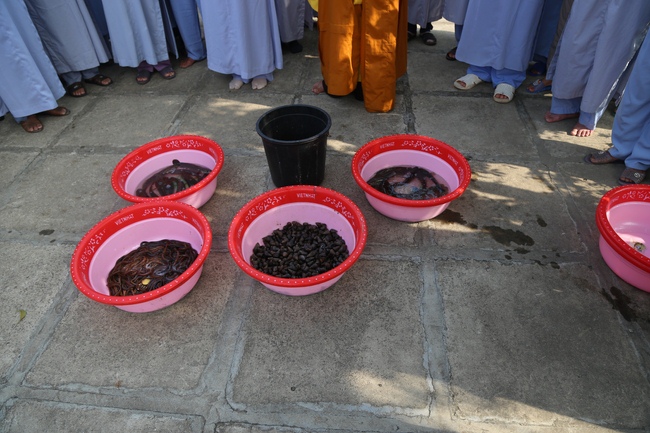 One - Day Retreat at Dong Cao Pagoda