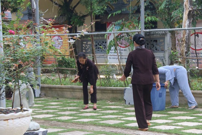 The One-Day Retreat at Hoa Phuc Pagoda in Ha Noi
