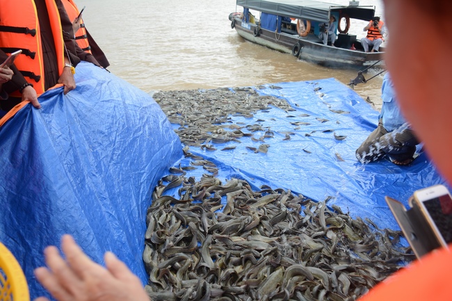 The  praying ceremony for rebirth and releasing creatures in Can Tho.