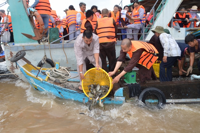 The  praying ceremony for rebirth and releasing creatures in Can Tho.