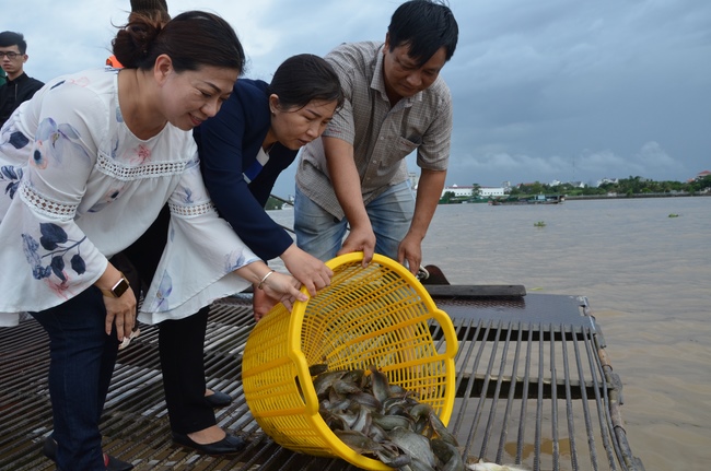 The  praying ceremony for rebirth and releasing creatures in Can Tho.