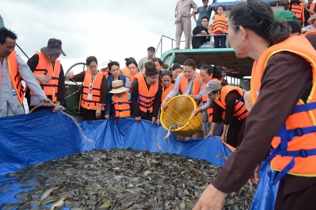 The  praying ceremony for rebirth and releasing creatures in Can Tho.