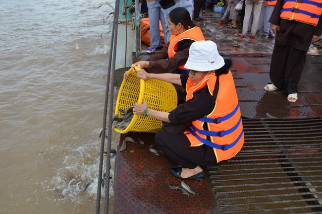The  praying ceremony for rebirth and releasing creatures in Can Tho.