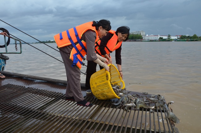 The  praying ceremony for rebirth and releasing creatures in Can Tho.