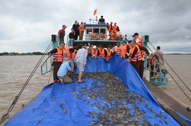 The  praying ceremony for rebirth and releasing creatures in Can Tho.