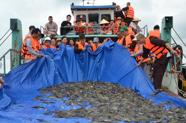 The  praying ceremony for rebirth and releasing creatures in Can Tho.