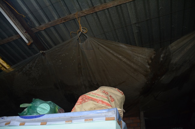 Supporting to cancer treatment for a Nun at  Phuoc Buu Pagoda