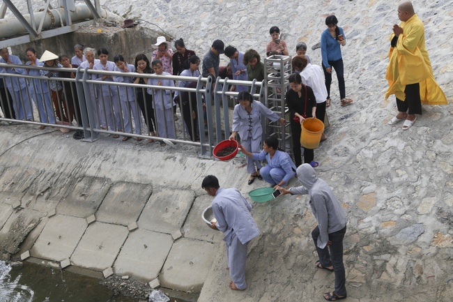 Phóng sanh và phát cơm chay tại Thanh Hóa