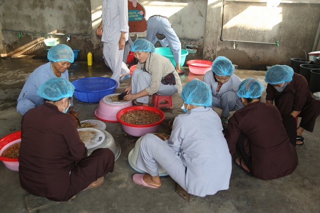 Phóng sanh và phát cơm chay tại Thanh Hóa