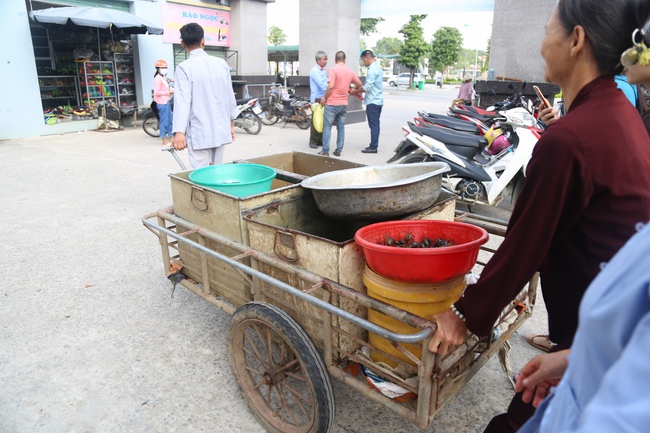 Phóng sanh và phát cơm chay tại Thanh Hóa