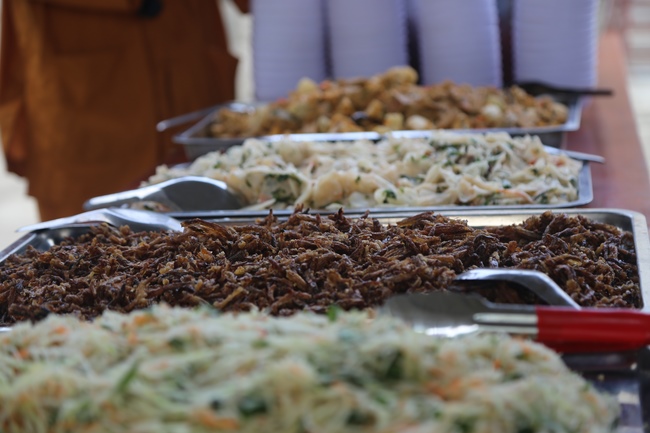 Re-learning majesty of the Buddha's disciple