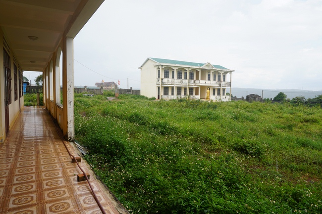 Quỹ Đào Tạo Tăng Tài Ngộ Chân Tử