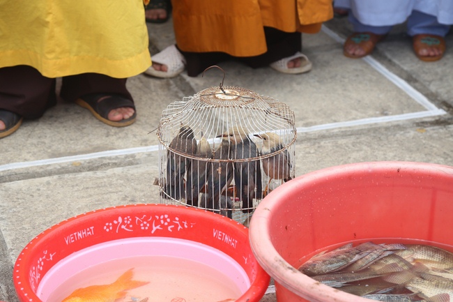 The Death Anniversary of Most Venerable Ngo Chan Tu at Dong Cao pagoda - Thanh Hoa province