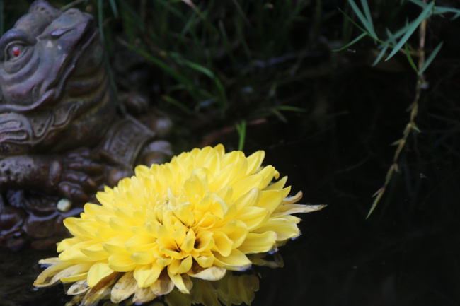 Hoa Phuc Pagoda – Ha Noi: The 30th death ceremony of  Most Venerable Ngo Chan Tu.