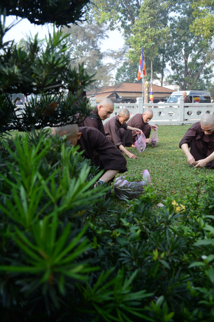 Prepare for the Grand Master’ Anniversary of Death