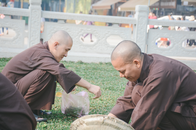 Prepare for the Grand Master’ Anniversary of Death