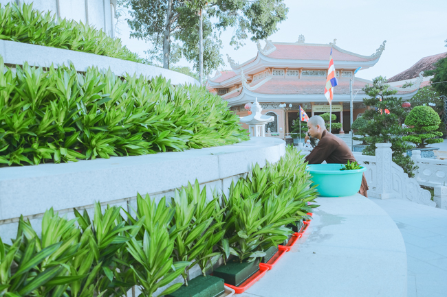 Prepare for the Grand Master’ Anniversary of Death