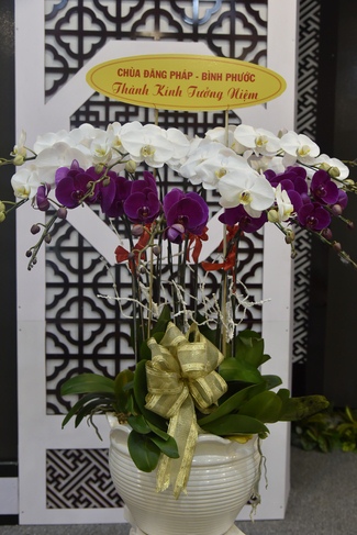 Grand Master’ Anniversary of Death – Hoang Phap’s Founder