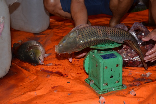 Commencement ceremony in Binh Duong and praying for safety in Can Tho.