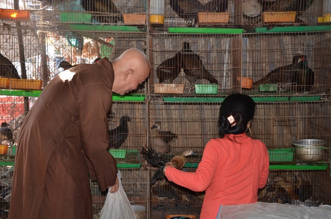 Burial in water in Vung Tau and freeing creatures in Long An