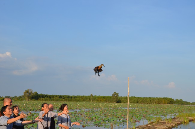 Burial in water in Vung Tau and freeing creatures in Long An