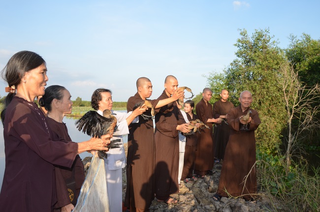 Burial in water in Vung Tau and freeing creatures in Long An