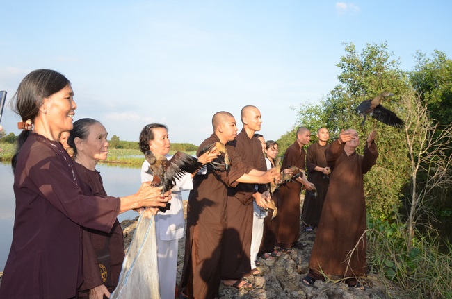 Burial in water in Vung Tau and freeing creatures in Long An