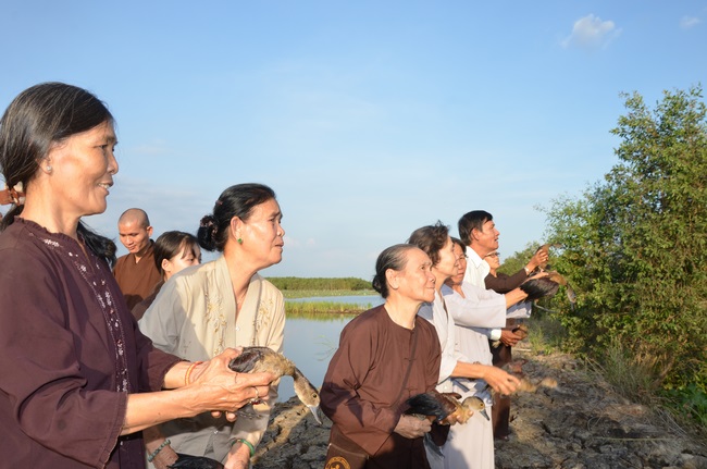Burial in water in Vung Tau and freeing creatures in Long An