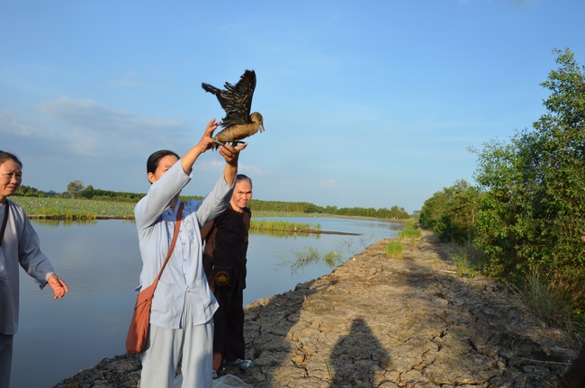 Burial in water in Vung Tau and freeing creatures in Long An