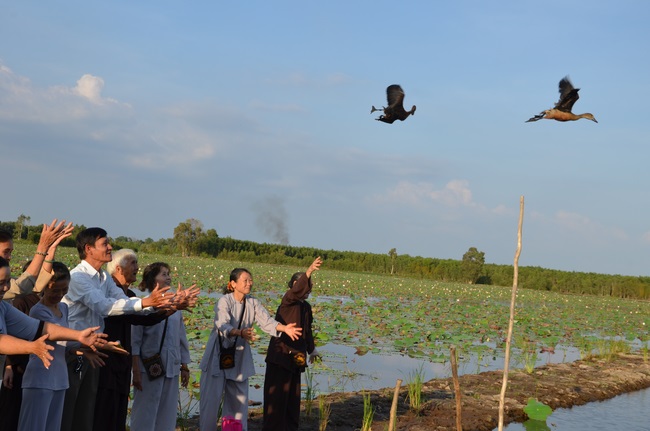Burial in water in Vung Tau and freeing creatures in Long An