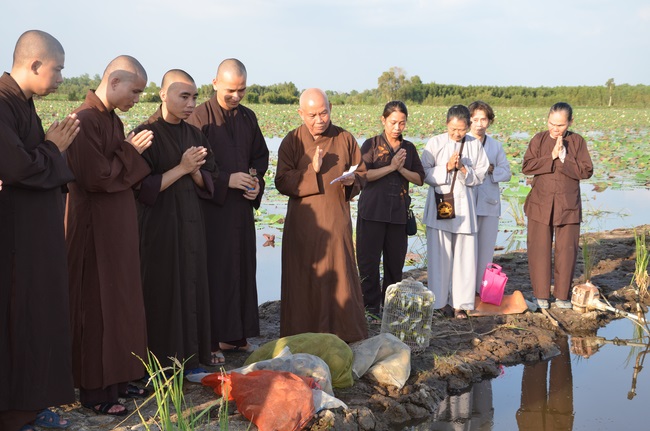 Burial in water in Vung Tau and freeing creatures in Long An