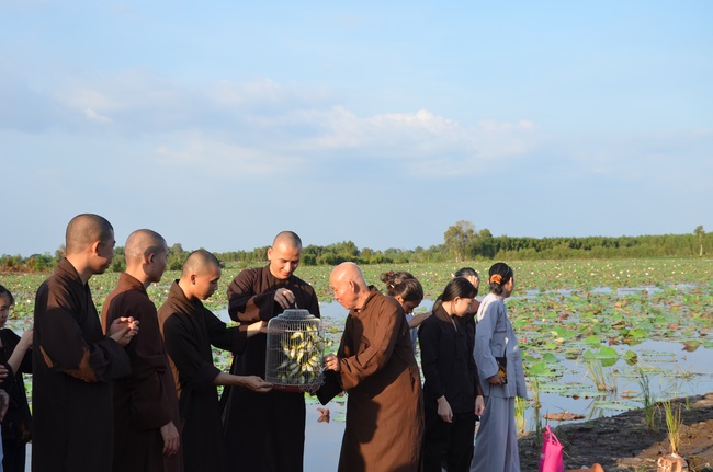 Burial in water in Vung Tau and freeing creatures in Long An