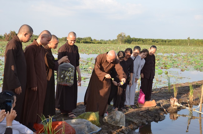 Burial in water in Vung Tau and freeing creatures in Long An