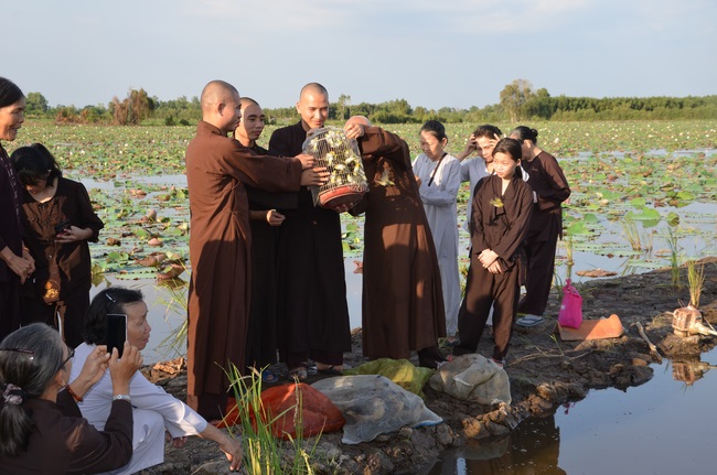 Burial in water in Vung Tau and freeing creatures in Long An