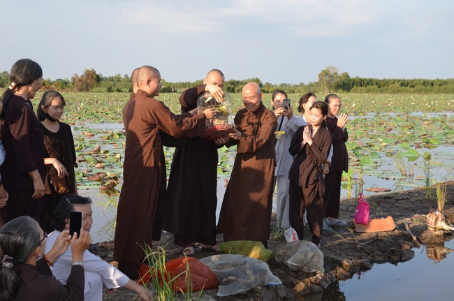 Burial in water in Vung Tau and freeing creatures in Long An