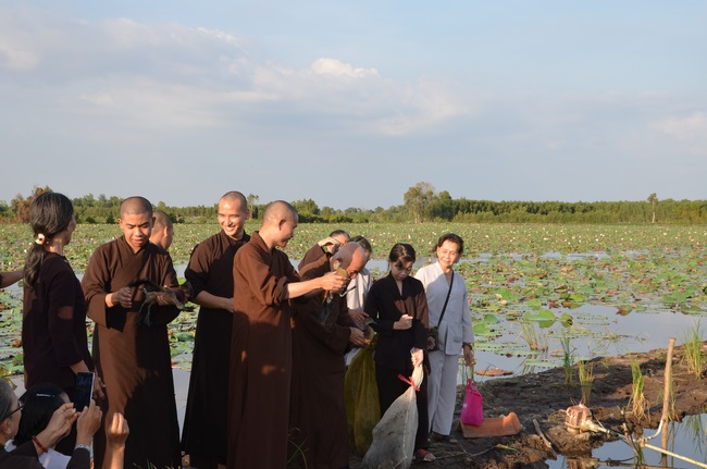 Burial in water in Vung Tau and freeing creatures in Long An