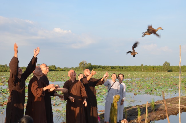 Burial in water in Vung Tau and freeing creatures in Long An