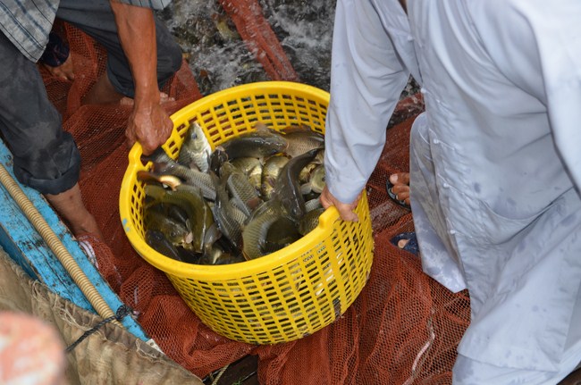 The ceremony praying for rebirth in Long An Province and Hoc Mon District