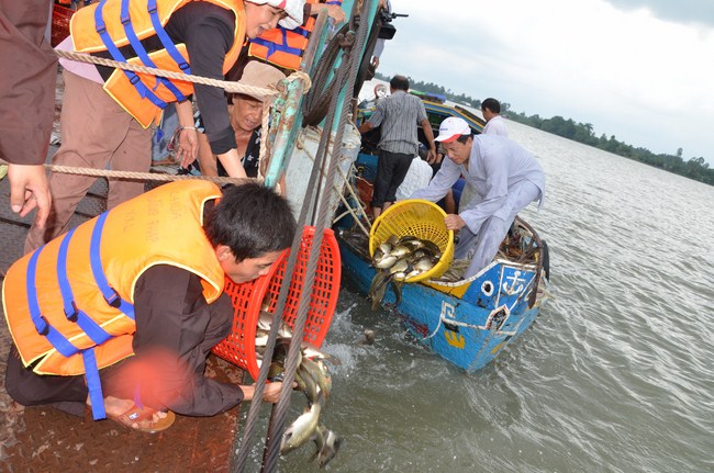 The ceremony praying for rebirth in Long An Province and Hoc Mon District