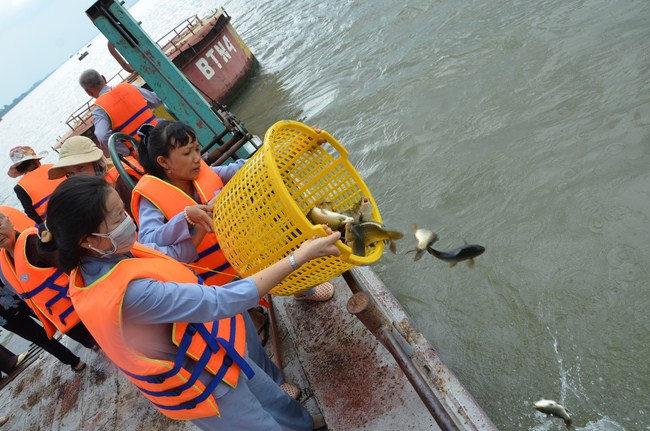 The ceremony praying for rebirth in Long An Province and Hoc Mon District